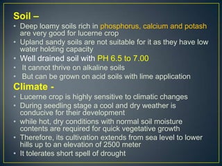 Soil –
• Deep loamy soils rich in phosphorus, calcium and potash
  are very good for lucerne crop
• Upland sandy soils are not suitable for it as they have low
  water holding capacity
• Well drained soil with PH 6.5 to 7.00
• It cannot thrive on alkaline soils
• But can be grown on acid soils with lime application
Climate -
• Lucerne crop is highly sensitive to climatic changes
• During seedling stage a cool and dry weather is
  conducive for their development
• while hot, dry conditions with normal soil moisture
  contents are required for quick vegetative growth
• Therefore, its cultivation extends from sea level to lower
  hills up to an elevation of 2500 meter
• It tolerates short spell of drought
 