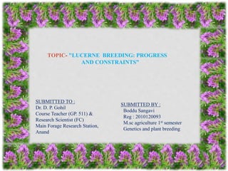 TOPIC- "LUCERNE BREEDING: PROGRESS
AND CONSTRAINTS”
SUBMITTED TO :
Dr. D. P. Gohil
Course Teacher (GP. 511) &
Research Scientist (FC)
Main Forage Research Station,
Anand
SUBMITTED BY :
Boddu Sangavi
Reg : 2010120093
M.sc agriculture 1st semester
Genetics and plant breeding
 