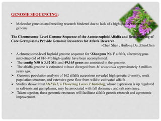 GENOME SEQUENCING:
• Molecular genetics and breeding research hindered due to lack of a high quality reference
genome
The Chromosome-Level Genome Sequence of the Autotetraploid Alfalfa and Resequencing of
Core Germplasms Provide Genomic Resources for Alfalfa Research
-Chen Shen , Huilong Du ,ZhuoChen
• A chromosome-level haploid genome sequence for ‘Zhongmu No.1’ alfalfa, a heterozygous
autotetraploid of 816-Mb high-quality have been accomplished.
• The contig N50 is 3.92 Mb, and 49,165 genes are annotated in the genome.
• The alfalfa genome is estimated to have diverged from M. truncatula approximately 8 million
years ago.
 Genomic population analysis of 162 alfalfa accessions revealed high genetic diversity, weak
population structure, and extensive gene flow from wild to cultivated alfalfa.
 Studies showed that MsFTa2, a Flowering Locus T homolog, whose expression is up regulated
in salt-resistant germplasms, may be associated with fall dormancy and salt resistance.
 Taken together, these genomic resources will facilitate alfalfa genetic research and agronomic
improvement.
 