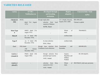 VARIETIES RELEASED
variety (CVRC-
Notification no
Developed through
and breeding
institution
Region
adoption
Characteristic/ Yield
(q/ha)
Chetak (S-
244)
441(E)
dated 21st August
1975)
through single plant
selection from local
material of Mathura
IGFRI, Jhansi
U.P. ,Punjab, Haryana,
Gujarat, M.P., Delhi
800-1000 (GF)
Tolerant to aphids
Sirsa Type
9
440(E) dated 21st
August 1975) -
Whole of
India
700-800(GF)
Sirsa-8 no. 13 dated 19th
December 1978) -
northern India
-
Type-9 no. 13 dated 19th
December 1978)
by mass selection
HAU, Hisar
northern India -
Co-1 19(E) dated
14th January
December 1982).
through mass selection from
Coimbatore local collections.
Taminlnadu and
Karnataka
600-800 (GF)
GAUL-1
(Anand-2)
596(E) dated 13th
August 1984)
through selection from
perennial type Lucerne
AAU, Anand
Gujarat,
Rajasthan and
Madhya
Pradesh
80–100 t/ha(GF)
GAUL-2
(SS-627)
- selection from Sirsa
material by GAU
AAU, Anand
Whole of
India
900-950(GF), bold seed, persistent.
 