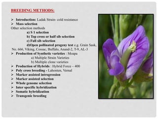 BREEDING METHODS:
 Introduction: Ladak Strain- cold resistance
 Mass selection
Other selection methods
a) S 1 selection
b) Top cross or half sib selection
c) Full sib selection
d)Open pollinated progeny test e.g. Grain Sask,
No. 666, Viking, Cossac, Buffalo, Anand-2, T-9, AL-3
 Production of Synthetic varieties : Moapa
a) Multiple Strain Varieties
b) Multiple clone varieties
 Production of Hybrids : Hybrid Force – 400
 Poly cross breeding - Lahonten, Vernal
 Marker assisted introgression
 Marker assisted selection
 Whole genome selection
 Inter specific hybridization
 Somatic hybridization
 Transgenic breeding
 