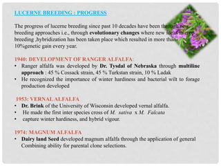 LUCERNE BREEDING : PROGRESS
The progress of lucerne breeding since past 10 decades have been through new
breeding approaches i.e., through evolutionary changes where new ideas in crop
breeding ,hybridization has been taken place which resulted in more than
10%genetic gain every year.
1940: DEVELOPMENT OF RANGER ALFALFA:
• Ranger alfalfa was developed by Dr. Tysdal of Nebraska through multiline
approach : 45 % Cossack strain, 45 % Turkstan strain, 10 % Ladak
• He recognized the importance of winter hardiness and bacterial wilt to forage
production developed
1953: VERNAL ALFALFA
• Dr. Brink of the University of Wisconsin developed vernal alfalfa.
• He made the first inter species cross of M. sativa x M. Falcata
• capture winter hardiness, and hybrid vigour.
1974: MAGNUM ALFALFA
• Dairy land Seed developed magnum alfalfa through the application of general
Combining ability for parental clone selections.
 