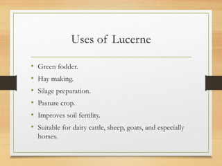 Locern Foder Comprehensive Guide to Lucerne: Package and Practices for Optimal ...