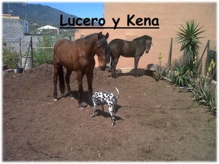 Lucero y Kena
 
