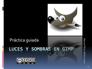 Práctica guiada




                          Manuel Pérez Báñez | 2012
LUCES Y SOMBRAS EN GIMP


                                                      1
 