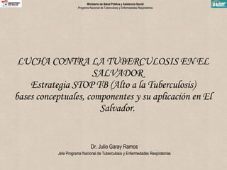 LUCHA CONTRA LA TUBERCULOSIS EN EL SALVADOR Estrategia STOP TB (Alto a la Tuberculosis) bases conceptuales, componentes y su aplicación en El Salvador. Dr. Julio Garay Ramos Jefe Programa Nacional de Tuberculosis y Enfermedades Respiratorias 