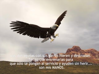 Las dos águilas con sus garras hieren y destrozan. Tengo que entrenarlas para  que sólo se pongan al servicio y ayuden sin herir... son mis MANOS.  