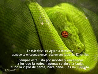 Lo más difícil es vigilar la serpiente aunque se encuentra encerrada en una jaula de 32 varillas. Siempre está lista por morder y envenenar  a los que la rodean apenas se abre la jaula,  si no la vigilo de cerca, hace daño... es mi LENGUA. 