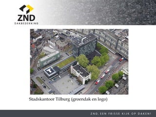 Stadskantoor Tilburg (groendak en logo) 