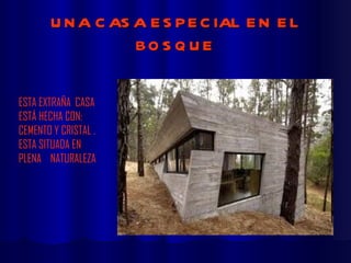 UNA CASA ESPECIAL EN EL BOSQUE ESTA EXTRAÑA  CASA  ESTÁ HECHA CON: CEMENTO Y CRISTAL . ESTA SITUADA EN PLENA  NATURALEZA 