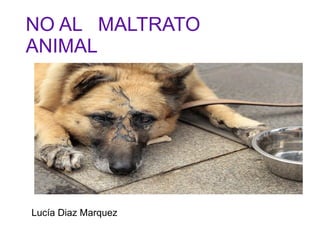 NO AL MALTRATO
ANIMAL
Lucía Diaz Marquez
 