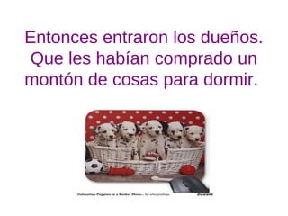 Entonces entraron los dueños.
Que les habían comprado un
montón de cosas para dormir.