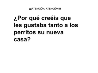¡¡¡ATENCIÓN, ATENCIÓN!!!
¿Por qué creéis que
les gustaba tanto a los
perritos su nueva
casa?