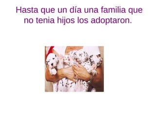 Hasta que un día una familia que
no tenia hijos los adoptaron.