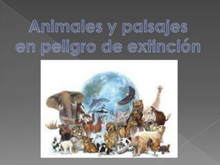 Animales y paisajes en peligro de extinción 