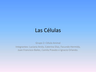 Las Células Grupo 2: Célula Animal Integrantes: Luciana Arola, Caterina Díaz, Facundo Hermida, Juan Francisco Bailez, Camila Pravato e Ignacio Orlando. 