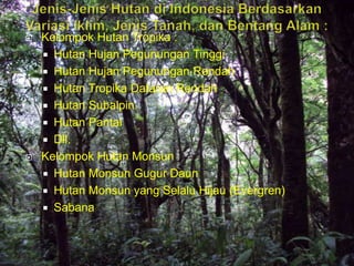    Kelompok Hutan Tropika :
     Hutan Hujan Pegunungan Tinggi
     Hutan Hujan Pegunungan Rendah
     Hutan Tropika Dataran Rendah
     Hutan Subalpin
     Hutan Pantai
     Dll.
   Kelompok Hutan Monsun
     Hutan Monsun Gugur Daun
     Hutan Monsun yang Selalu Hijau (Evergren)
     Sabana
 