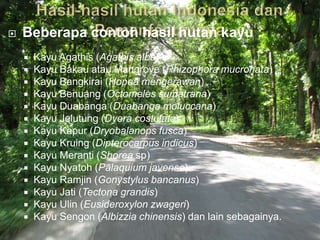    Beberapa contoh hasil hutan kayu :
       Kayu Agathis (Agathis alba)
       Kayu Bakau atau Mangrove (Rhizophora mucronata)
       Kayu Bangkirai (Hopea mengerawan)
       Kayu Benuang (Octomeles sumatrana)
       Kayu Duabanga (Duabanga moluccana)
       Kayu Jelutung (Dyera costulata)
       Kayu Kapur (Dryobalanops fusca)
       Kayu Kruing (Dipterocarpus indicus)
       Kayu Meranti (Shorea sp)
       Kayu Nyatoh (Palaquium javense)
       Kayu Ramjin (Gonystylus bancanus)
       Kayu Jati (Tectona grandis)
       Kayu Ulin (Eusideroxylon zwageri)
       Kayu Sengon (Albizzia chinensis) dan lain sebagainya.
 