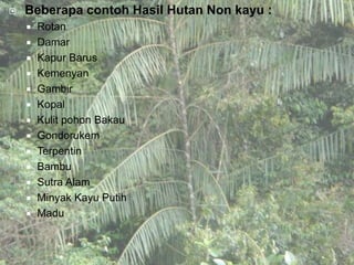    Beberapa contoh Hasil Hutan Non kayu :
       Rotan
       Damar
       Kapur Barus
       Kemenyan
       Gambir
       Kopal
       Kulit pohon Bakau
       Gondorukem
       Terpentin
       Bambu
       Sutra Alam
       Minyak Kayu Putih
       Madu
 