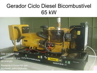 Gerador Ciclo Diesel Bicombustível
                  65 kW




Gás padrão ANP
É responsável por 70%
da energia
Restante é fornecido por
biodiesel, para explosão
 