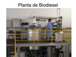 Planta de Biodiesel
 