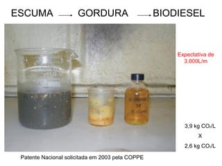 ESCUMA                GORDURA                     BIODIESEL



                                                      Expectativa de
                                                        3.000L/m




                                                        3,9 kg CO2/L
                                                             X
                                                        2,6 kg CO2/L

 Patente Nacional solicitada em 2003 pela COPPE
 