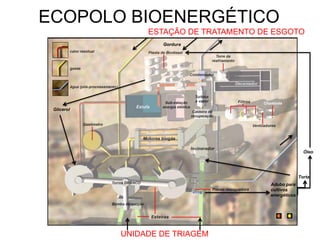 ECOPOLO BIOENERGÉTICO
                 ESTAÇÃO DE TRATAMENTO DE ESGOTO
                    Gordura




 Glicerol




                                                         Óleo




                                                       Torta
                                         Adubo para
                                         cultivos
                                         energéticos




            UNIDADE DE TRIAGEM
 