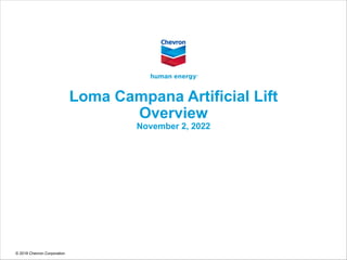 © 2018 Chevron Corporation
Loma Campana Artificial Lift
Overview
November 2, 2022
 