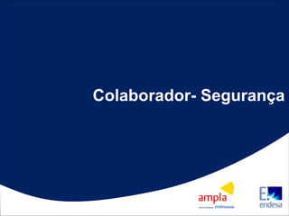 Colaborador- Segurança  
