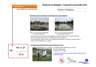 étude de la biologie =>capacité vectorielle (CV):
-abondance
   m: le nombre de vecteurs par hôte                                     Facteur écologique

                       Système des mares temporaires de la Région de Ferlo (Sénégale)




                         Aedes vexans (arabiensis) et Culex poicilipes constituent les espèces les plus nombreux
                         dans cette région (Fontenille et al, 1998b, Mondet et al, 2004a).
                         La dynamique de l’Aedes vexans lié au régime pluviométrique a été bien observée dans la
                         région de Ferlo (Mondet et al, 2005).


                        Cas des dambos (Wetlands) du Kenya (Afrique de l’est) :
                                                                Corrélation entre l’épidémie de la FVR et
                                                                la forte pluviometrie
                                                                (Linthicum et al, 1999)
                                                                http://www.scienceinafrica.co.za/pics/02_2009/313584main_riftvalle
                                                                y_scientists_226.jpg
 