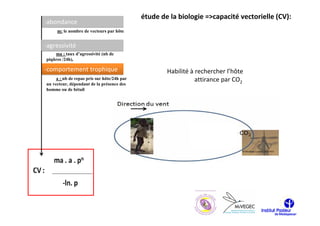 étude de la biologie =>capacité vectorielle (CV):
-abondance
     m: le nombre de vecteurs par hôte


-agressivité
    ma : taux d’agressivité (nb de
piqûres /24h),

-comportement trophique                              Habilité à rechercher l’hôte
     a : nb de repas pris sur hôte/24h par                      attirance par CO2
un vecteur, dépendant de la présence des
homme ou de bétail
 