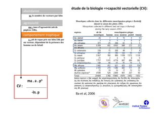 étude de la biologie =>capacité vectorielle (CV):
-abondance
     m: le nombre de vecteurs par hôte


-agressivité
    ma : taux d’agressivité (nb de
piqûres /24h),

-comportement trophique
     a : nb de repas pris sur hôte/24h par
un vecteur, dépendant de la présence des
homme ou de bétail




                                               Ba et al, 2006
 