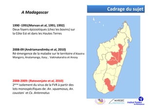 Cadrage du sujet
      A Madagascar

1990 -1991(Morvan et al, 1991; 1992)
Deux foyers épizootiques (chez les bovins) sur
la Côte Est et dans les Hautes Terres



2008-09 (Andriamandimby et al, 2010)
Ré-émergence de la maladie sur le territoire d’Alaotra
Mangoro, Analamanga, Itasy , Vakinakaratra et Anosy




2008-2009: (Ratovonjato et al, 2010)
2ème isolement du virus de la FVR à partir des
lots monospécifiques de: An. squamosus, An.
coustani et Cx. Antennatus
 