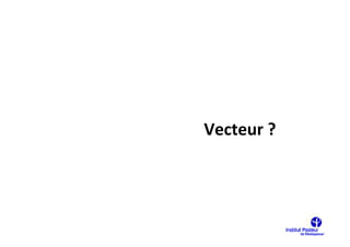 Vecteur ?
 