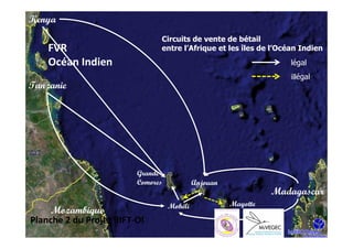 Kenya
                               Circuits de vente de bétail
    FVR                        entre l’Afrique et les îles de l’Océan Indien
    Océan Indien                                                   légal
                                                                   illégal
Tanzanie




                         Grande
                         Comores            Anjouan
                                                                Madagascar
                                   Mohéli             Mayotte
     Mozambique
Planche 2 du Projet RIFT-OI
 