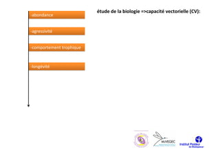 étude de la biologie =>capacité vectorielle (CV):
-abondance


-agressivité


-comportement trophique



-longévité
 