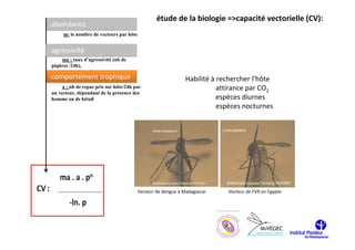 étude de la biologie =>capacité vectorielle (CV):
-abondance
     m: le nombre de vecteurs par hôte


-agressivité
    ma : taux d’agressivité (nb de
piqûres /24h),

-comportement trophique                                      Habilité à rechercher l’hôte
     a : nb de repas pris sur hôte/24h par                              attirance par CO2
un vecteur, dépendant de la présence des
homme ou de bétail                                                      espèces diurnes
                                                                        espèces nocturnes




                                         Vecteur de dengue à Madagascar   Vecteur de FVR en Egypte
 