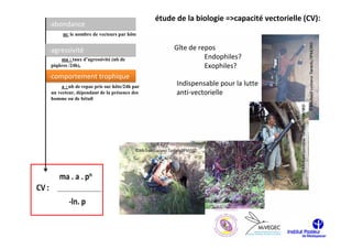étude de la biologie =>capacité vectorielle (CV):
-abondance
     m: le nombre de vecteurs par hôte


-agressivité                                      Gîte de repos
    ma : taux d’agressivité (nb de                          Endophiles?
piqûres /24h),                                              Exophiles?
-comportement trophique
     a : nb de repas pris sur hôte/24h par         Indispensable pour la lutte
un vecteur, dépendant de la présence des           anti-vectorielle
homme ou de bétail
 