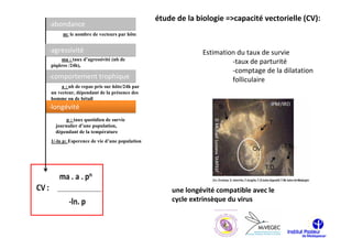 étude de la biologie =>capacité vectorielle (CV):
-abondance
     m: le nombre de vecteurs par hôte


-agressivité                                               Estimation du taux de survie
    ma : taux d’agressivité (nb de
piqûres /24h),
                                                                    -taux de parturité
                                                                    -comptage de la dilatation
-comportement trophique                                             folliculaire
     a : nb de repas pris sur hôte/24h par
un vecteur, dépendant de la présence des
homme ou de bétail
-longévité
       p : taux quotidien de survie
  journalier d’une population,
  dépendant de la température
1/-ln p: Esperence de vie d’une population




                                                 une longévité compatible avec le
                                                 cycle extrinsèque du virus
 