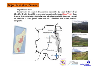 Objectifs et sites d’étude
        Objectif de ma thèse:
        Comprendre les voies de transmission vectorielle du virus de la FVR et
     identifier le rôle des différents paramètres entomologiques (Cap. Vect.) dans
     le cycle de transmission, depuis la zone selvatique probable jusqu’au cheptel
     ou l’inverse. Le site pilote étant dans les 3 écozones des Hauts plateaux
     malgaches.
 