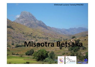 ©Michaël Luciano Tantely/IPM/IRD




Misaotra Betsaka
 