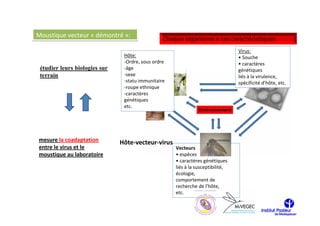 Moustique vecteur « démontré »:

                                                                                 Virus:
                                Hôte:                                            • Souche
                                -Ordre, sous ordre                               • caractères
 étudier leurs biologies sur    -âge                                             génétiques
 terrain                        -sexe                                            liés à la virulence,
                                -statu immunitaire                               spécificité d’hôte, etc.
                                -roupe ethnique
                                -caractères
                                génétiques
                                etc.




mesure la coadaptation         Hôte-vecteur-virus
entre le virus et le                                 Vecteurs
moustique au laboratoire                             • espèces
                                                     • caractères génétiques
                                                     liés à la susceptibilité,
                                                     écologie,
                                                     comportement de
                                                     recherche de l’hôte,
                                                     etc.
 