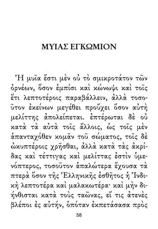 ΜΥΙΑΣ ΕΓΚΩΜΙΟΝ
Ἡ μυῖα ἔστι μὲν οὐ τὸ σμικροτάτον τῶν
ὀρνέων, ὅσον ἐμπίσι καὶ κώνωψι καὶ τοῖς
ἔτι λεπτοτέροις παραβάλλειν, ἀλλὰ τοσο-
ῦτον ἐκείνων μεγέθει προὔχει ὅσον αὐτὴ
μελίττης ἀπολείπεται. ἐπτέρωται δὲ οὐ
κατὰ τὰ αὐτὰ τοῖς ἄλλοις, ὡς τοῖς μὲν
ἁπανταχόθεν κομᾶν τοῦ σώματος, τοῖς δὲ
ὠκυπτέροις χρῆσθαι, ἀλλὰ κατὰ τὰς ἀκρί-
δας καὶ τέττιγας καὶ μελίττας ἐστὶν ὑμε-
νόπτερος, τοσοῦτον ἁπαλώτερα ἔχουσα τὰ
πτερὰ ὅσον τῆς Ἑλληνικῆς ἐσθῆτος ἡ Ἰνδι-
κὴ λεπτοτέρα καὶ μαλακωτέρα· καὶ μὴν δι-
ήνθισται κατὰ τοὺς ταῶνας, εἴ τις ἀτενὲς
βλέποι ἐς αὐτήν, ὁπόταν ἐκπετάσασα πρὸς
58
 