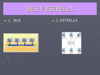 BUS Y ESTRELLA
► 1. BUS ► 2. ESTRELLA
 