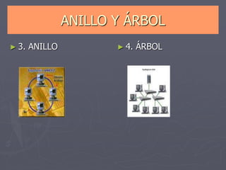 ANILLO Y ÁRBOL
► 3. ANILLO ► 4. ÁRBOL
 