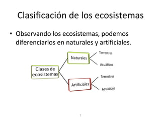 Clasificación de los ecosistemas Observando los ecosistemas, podemos diferenciarlos en naturales y artificiales. 7 