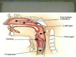  Me tragaron y pasé por la faringe.
 
