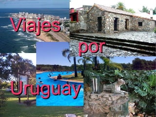 Viajes
Viajes
         porPor
 Uruguay
Uruguay
 