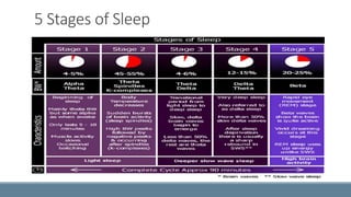 5 Stages of Sleep 
 