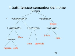 21
I tratti lessico-semantici del nome
• +numerabile- +animato-
+ animato- +astratto- +umano-
+Comune -
Belgio
+umano-
ragazza gatto
libro
Virtù sporcizia
Lucia
Fido
 